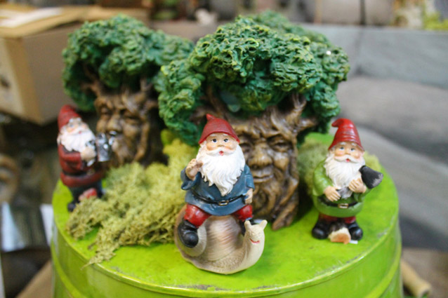 Gnome figurines are poised to take over more shelf space in garden centers this spring, elbowing into fairy territory in the miniature garden. © George Weigel