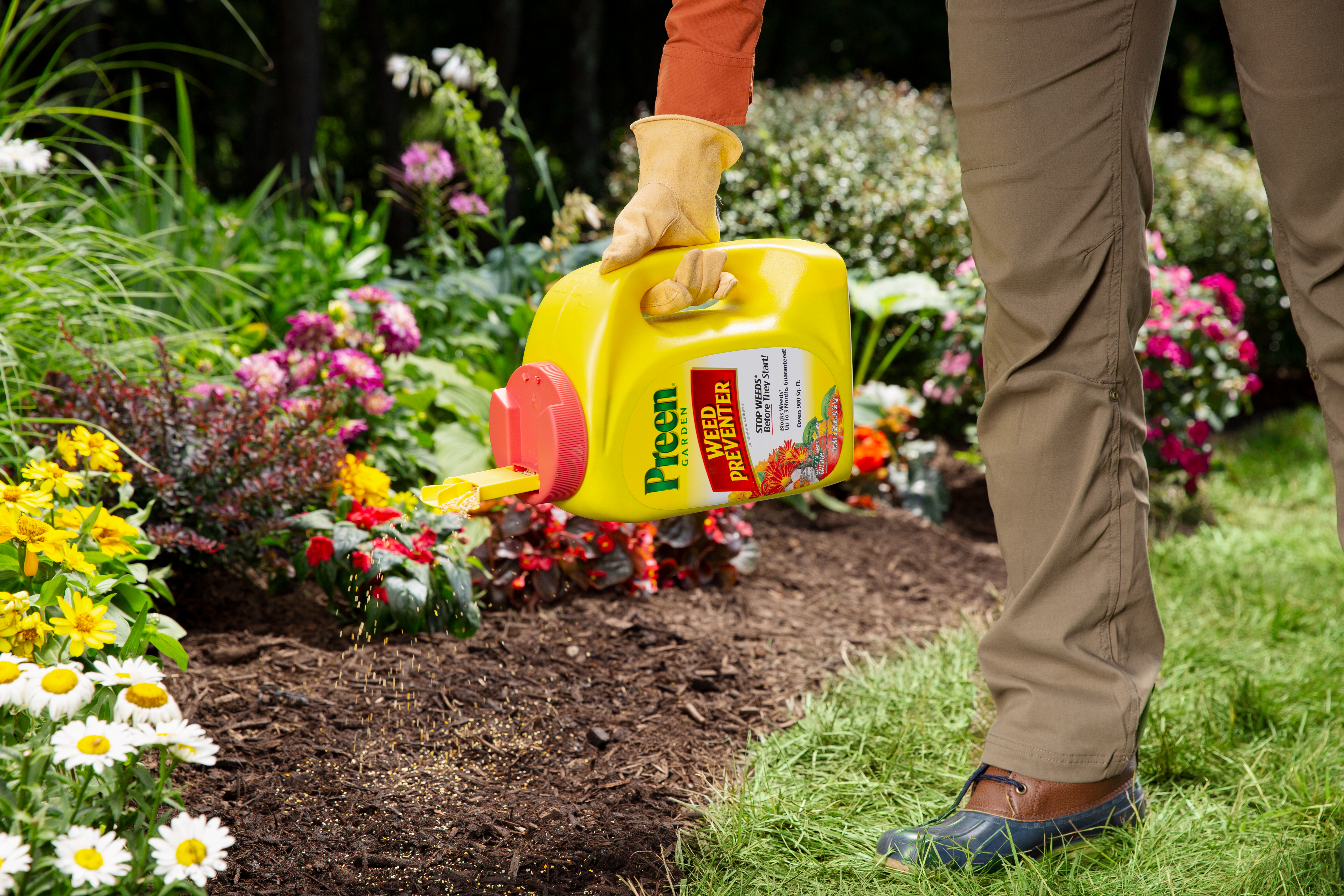 Apply Preen Garden Weed Preventer to control weeds.