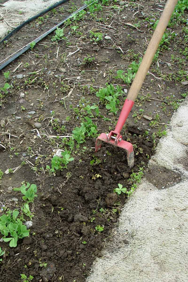 Long-handled Weeding Tools