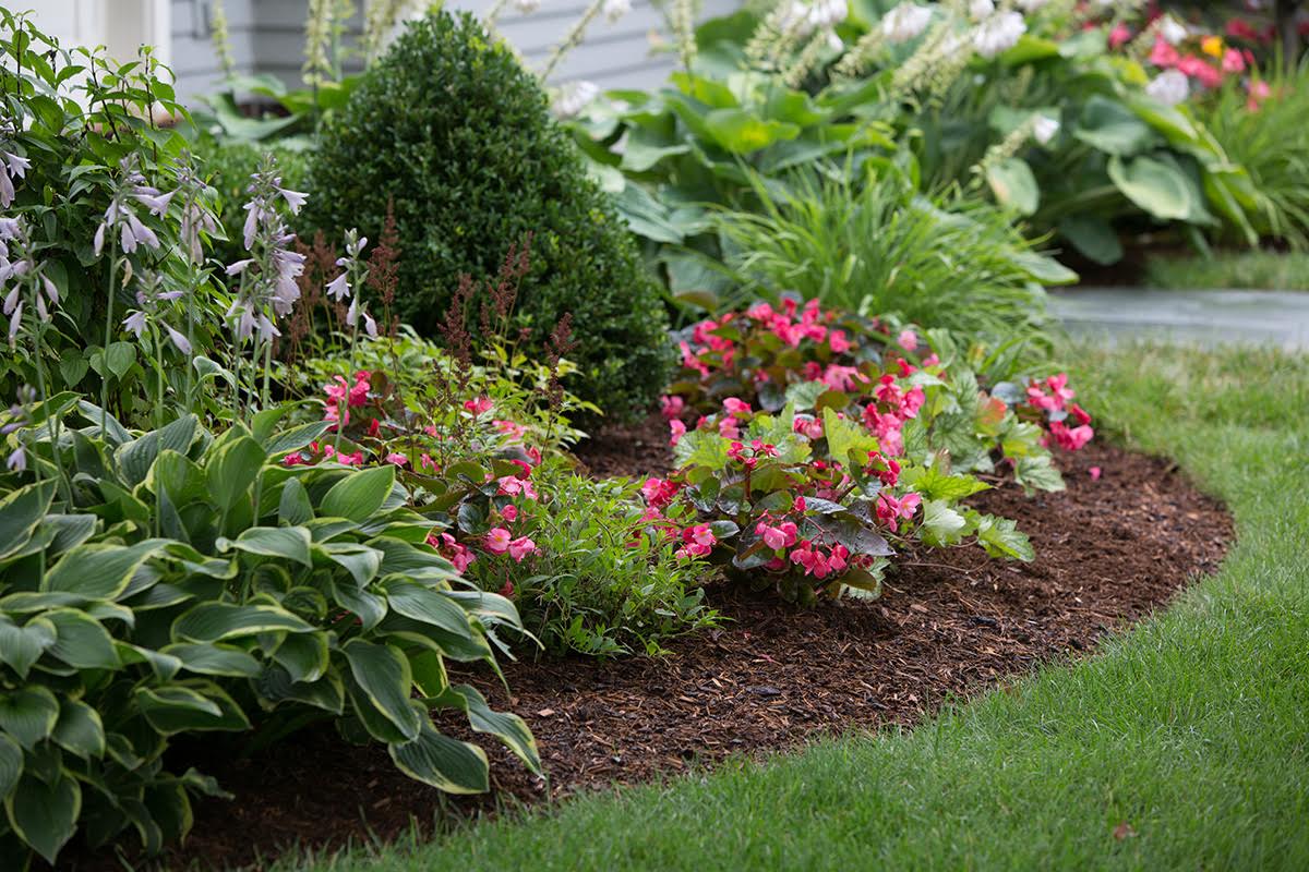 Newly mulched garden bed