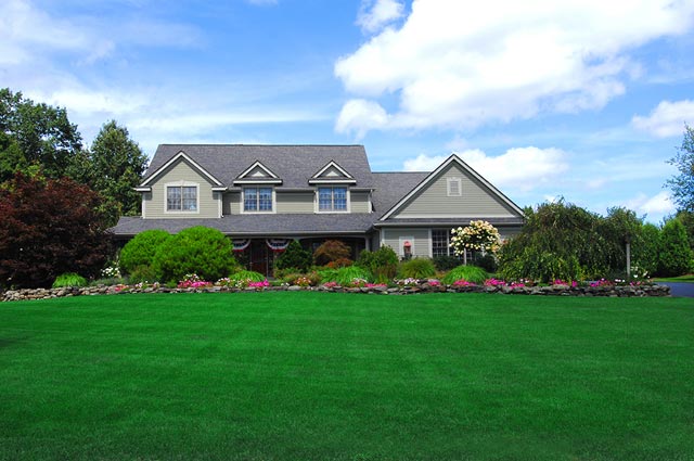 Weed-free lawn