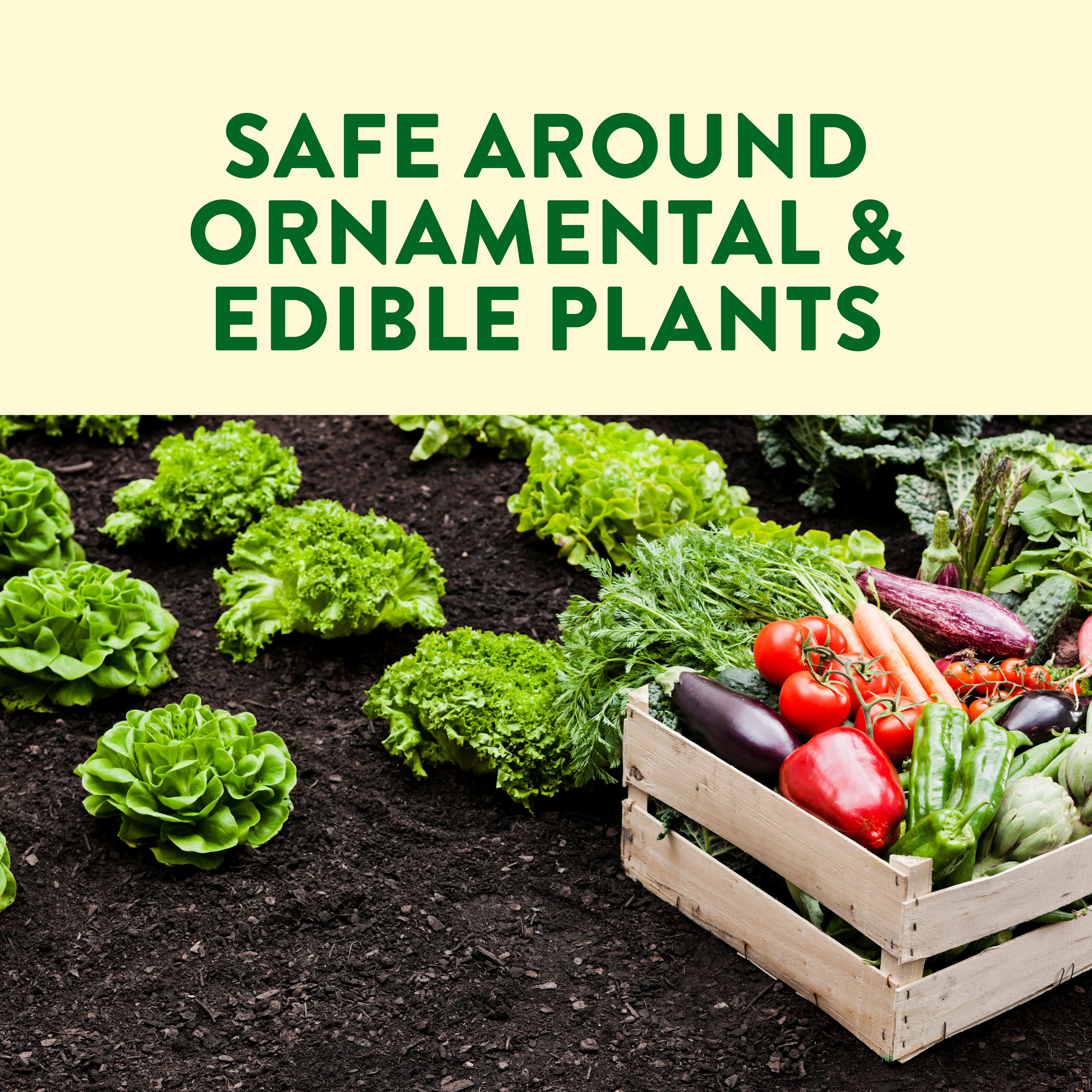 Preen Natural Vegetable Garden Weed Preventer is safe to use around ornamental and edible plants up to the day of harvest.