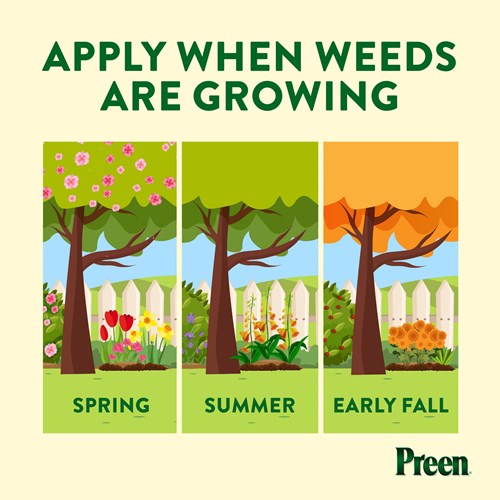Apply Preen Garden Weed Preventer in spring, summer and fall when weeds are actively growing
