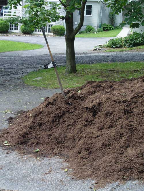 Mulch pile