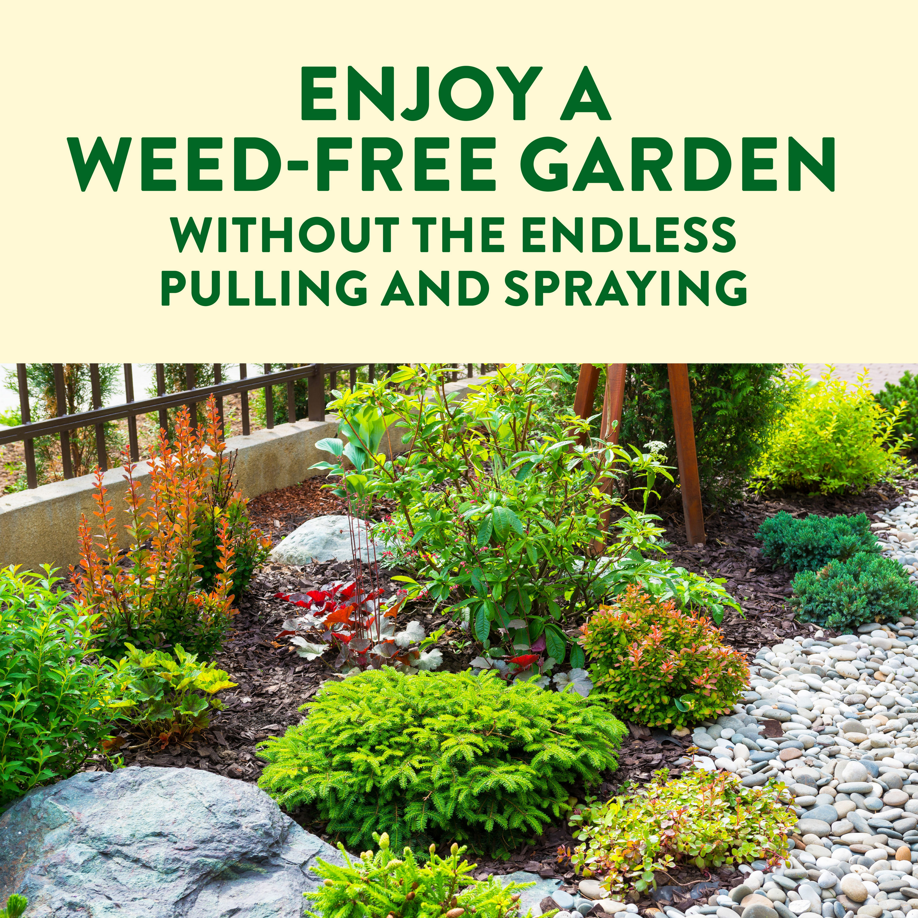 Enjoying a weed-free garden without the endless pulling and spraying