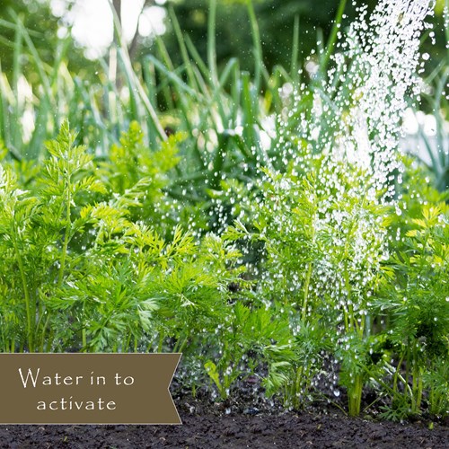 Preen Natural Vegetable Garden Weed Preventer