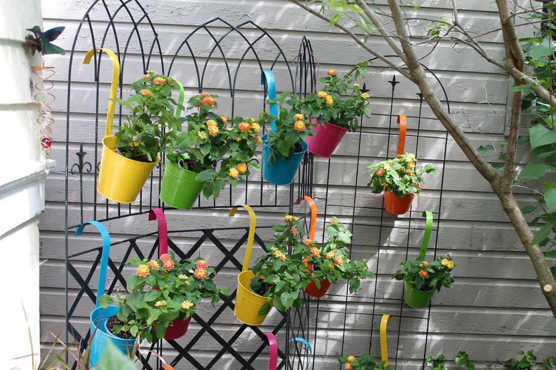 Small pots with flowers