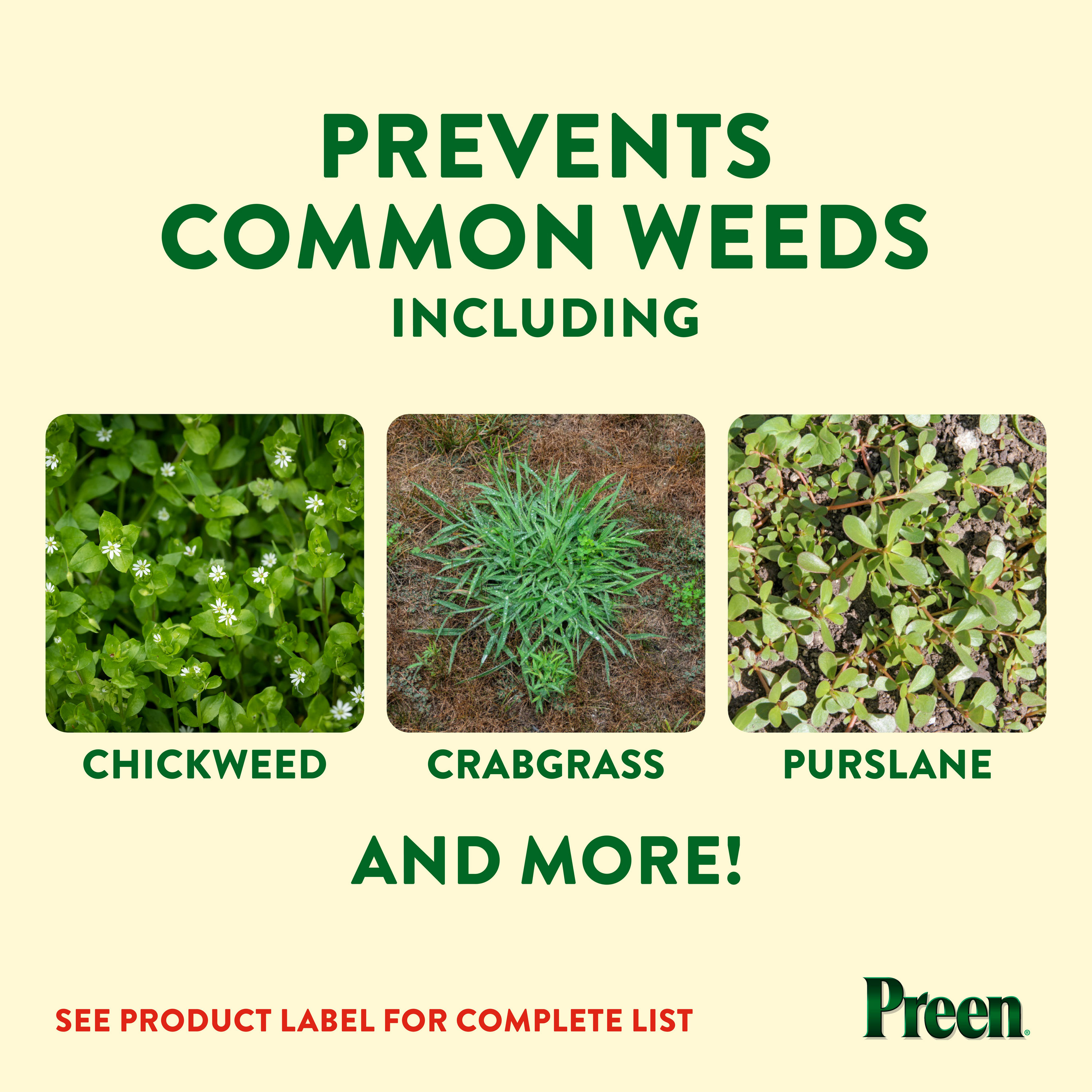Preen Garden Weed Preventer Plus Plant Food prevents common weeds including chickweed, crabgrass and purslane