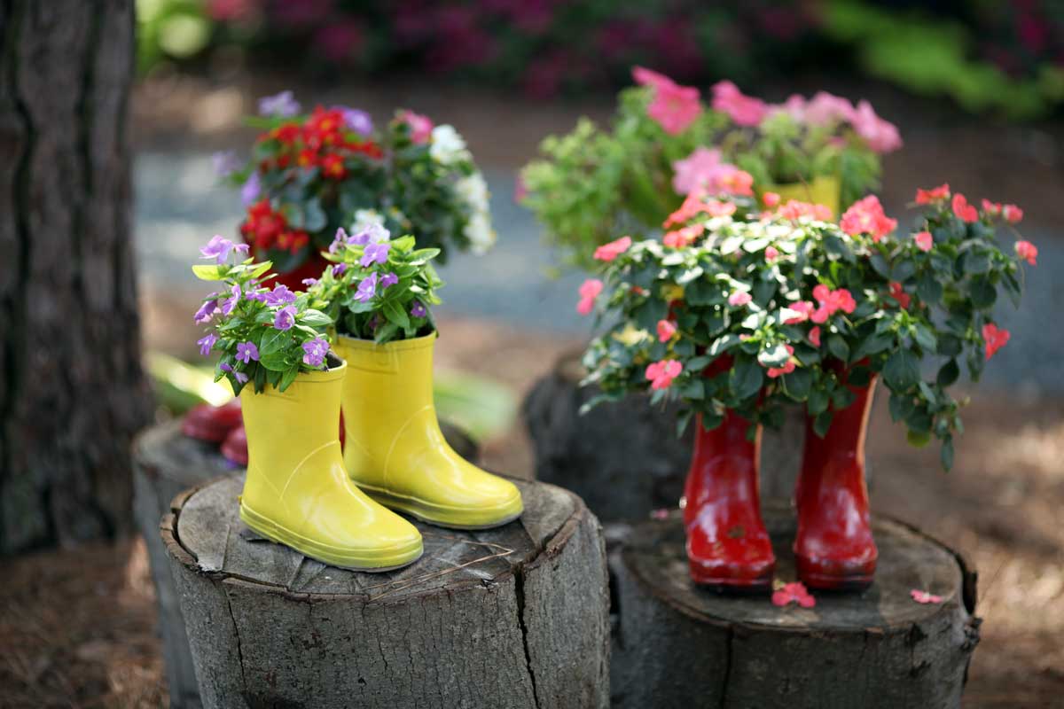 Flowers in Boots