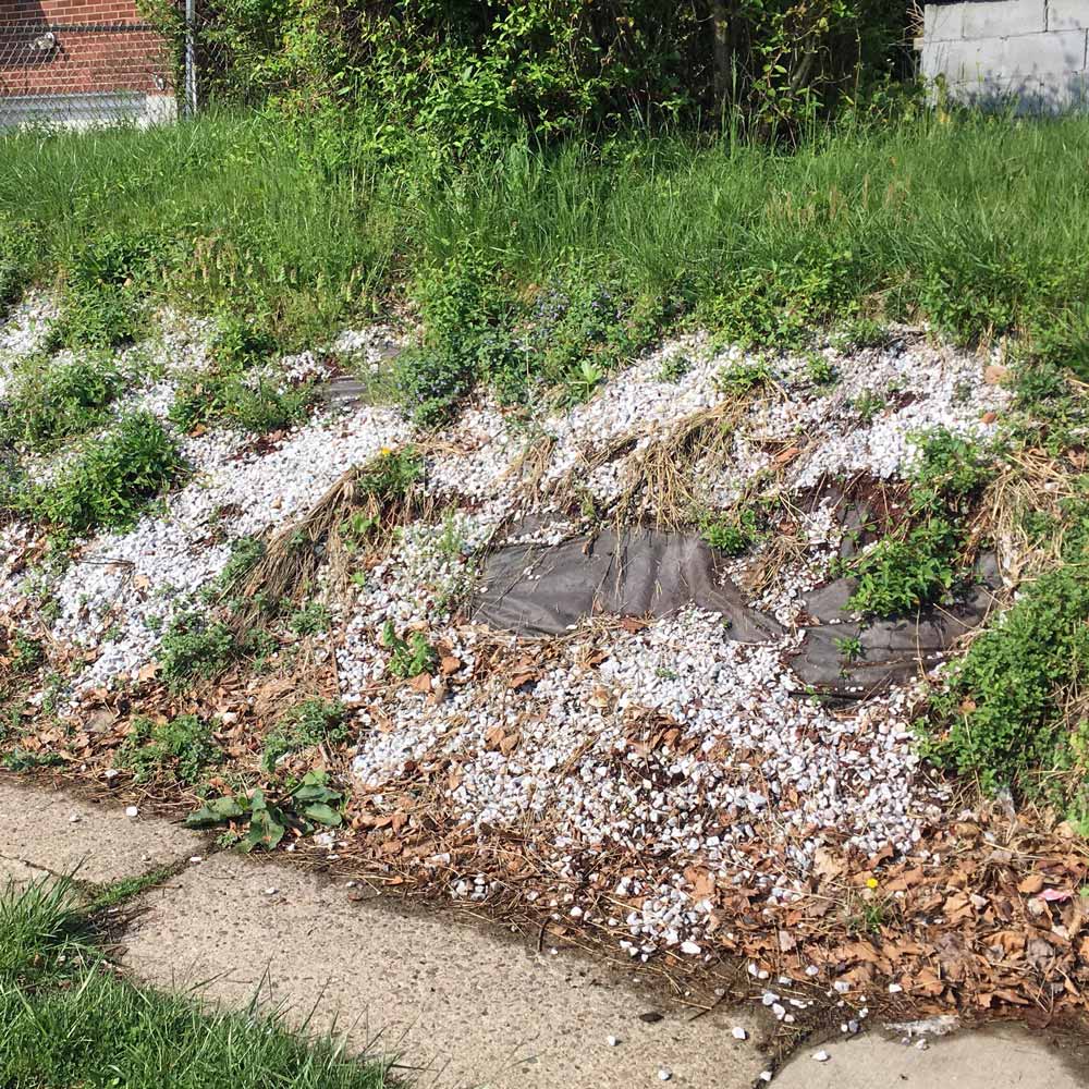 Weedy bank with worn landscape fabric and stone