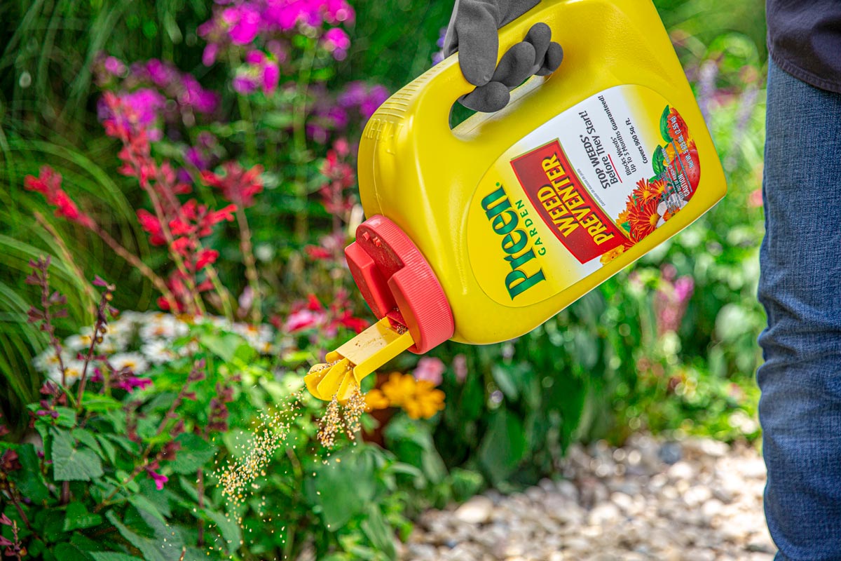 Applying Preen Garden Weed Preventer