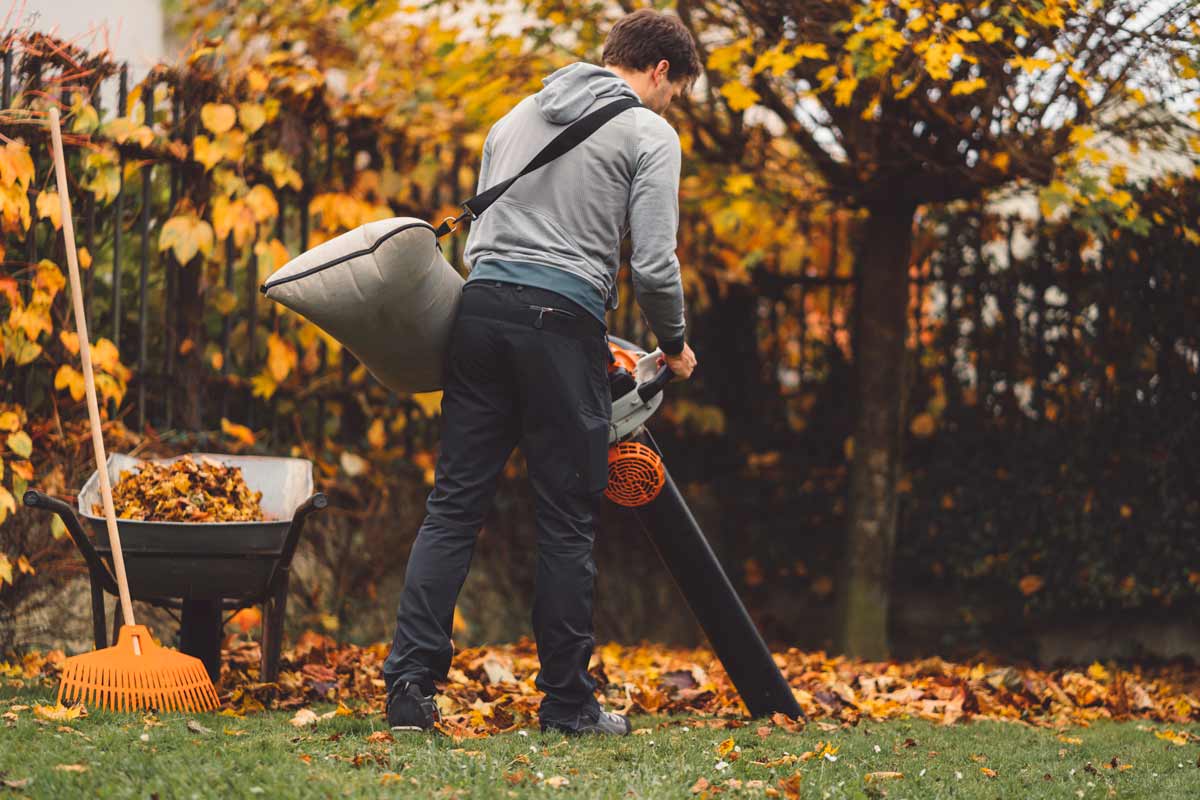 You may think you have to clean up all of the leaves during the fall - you don’t! Leave some behind for plant insulation and extra nutrition. Ziga Pahutar / iStock / Getty Images Plus