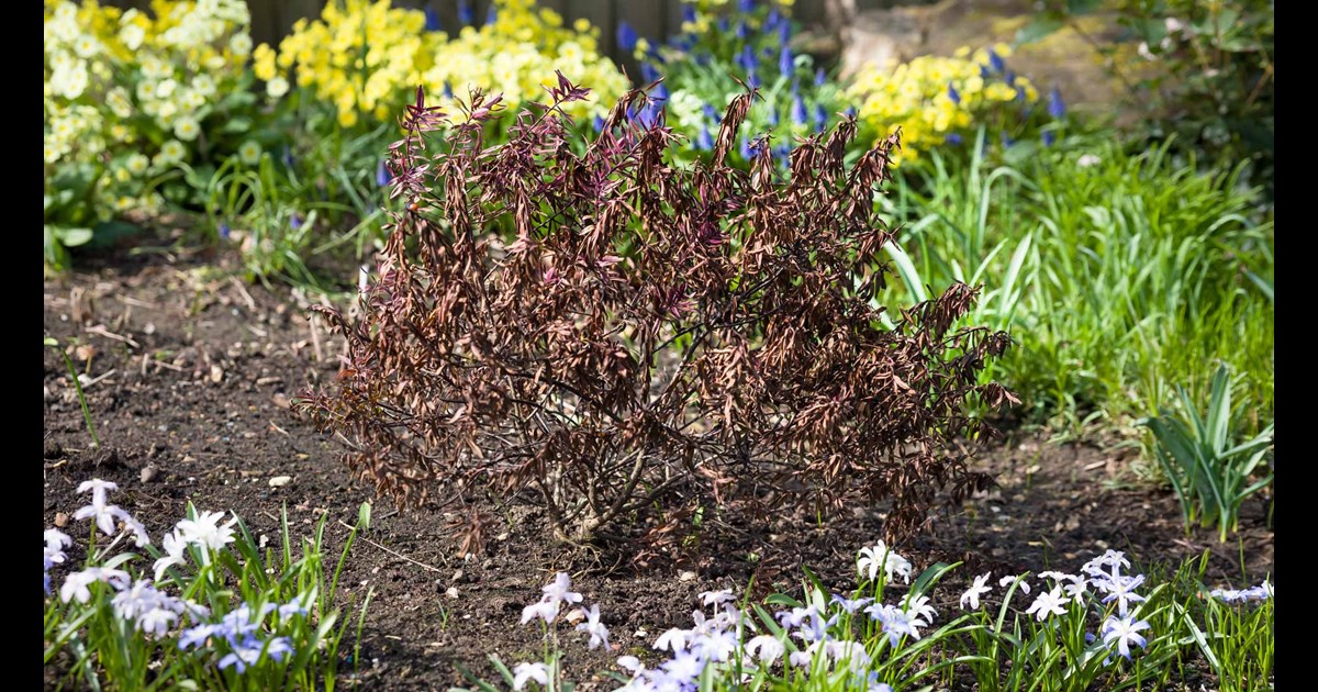 You Will Kill Plants... It’s Part of the Gardening Equation