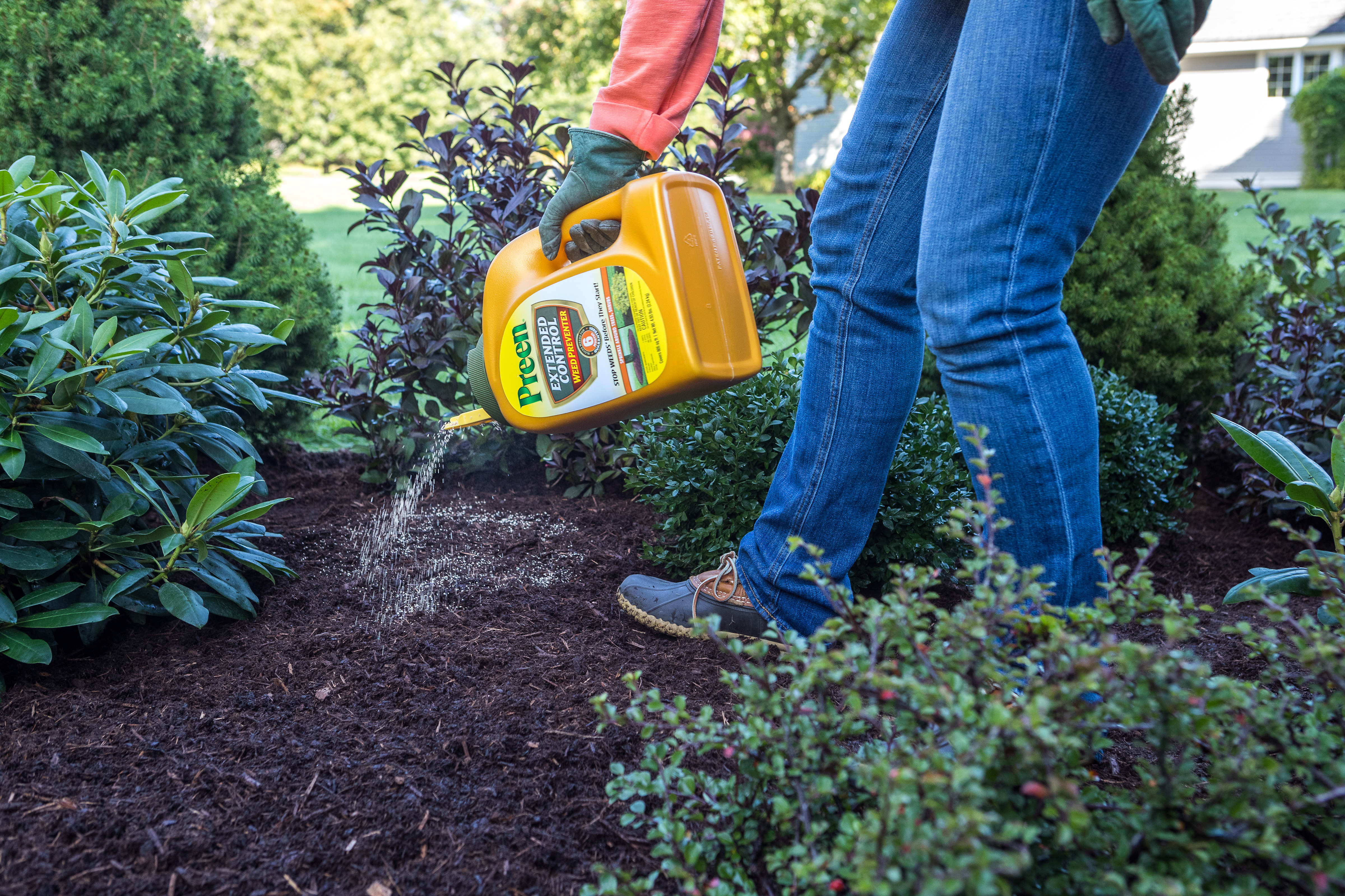 Applying Preen Extended Control Weed Preventer around shrubs over mulch to control weeds.