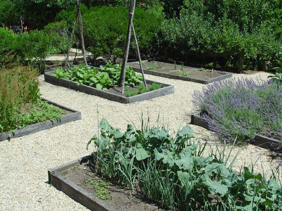 Raised Gardens