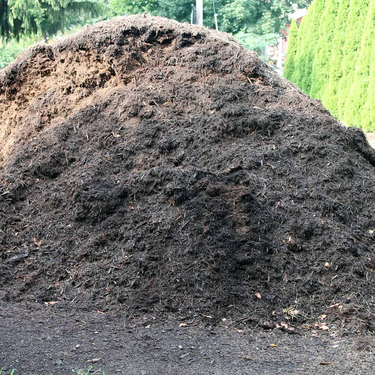 Mulch pile