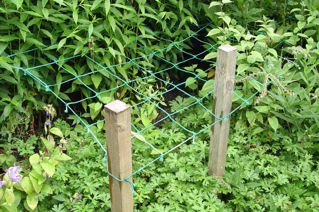 Netting strung horizontally over the top of garden beds is the best way to prevent floppy plants. George Weigel