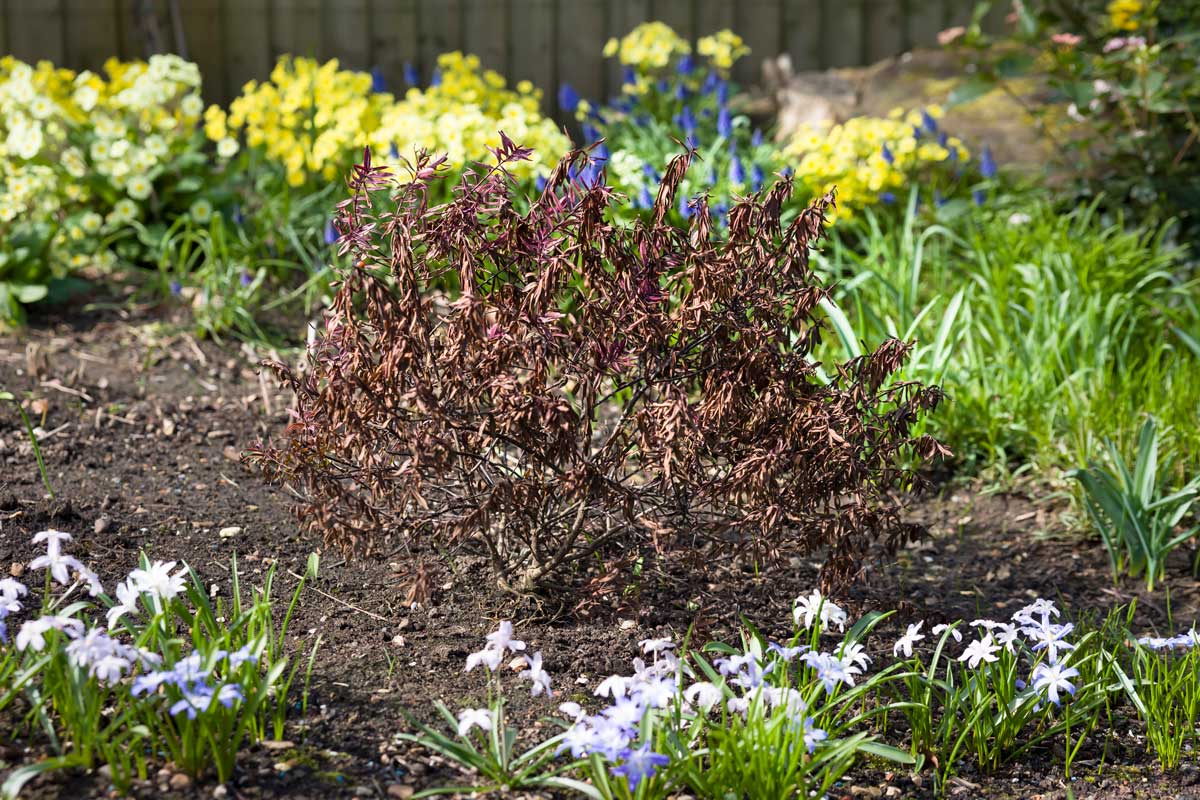 You Will Kill Plants... It’s Part of the Gardening Equation