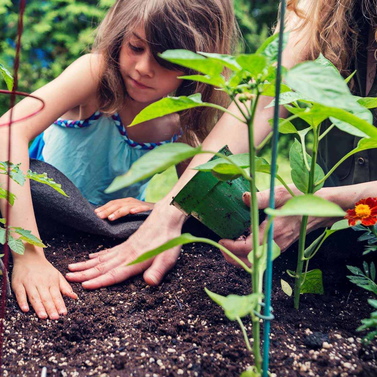 Gardening with the kids