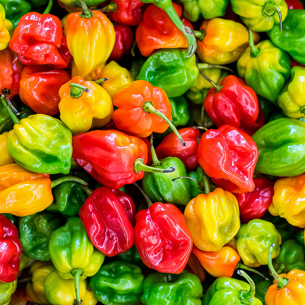 Peppers