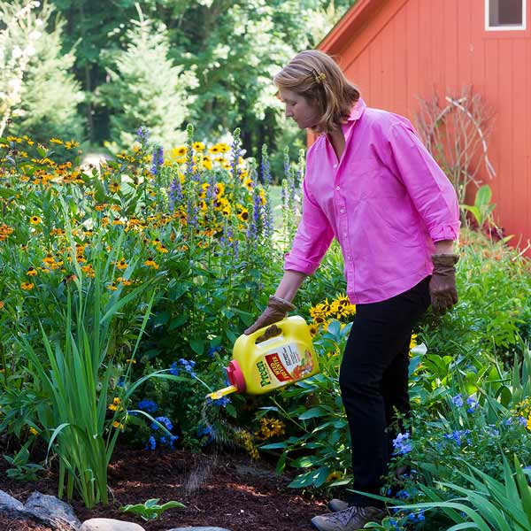 ASpplying Preen Garden Weed Preventer in perennial garden bed