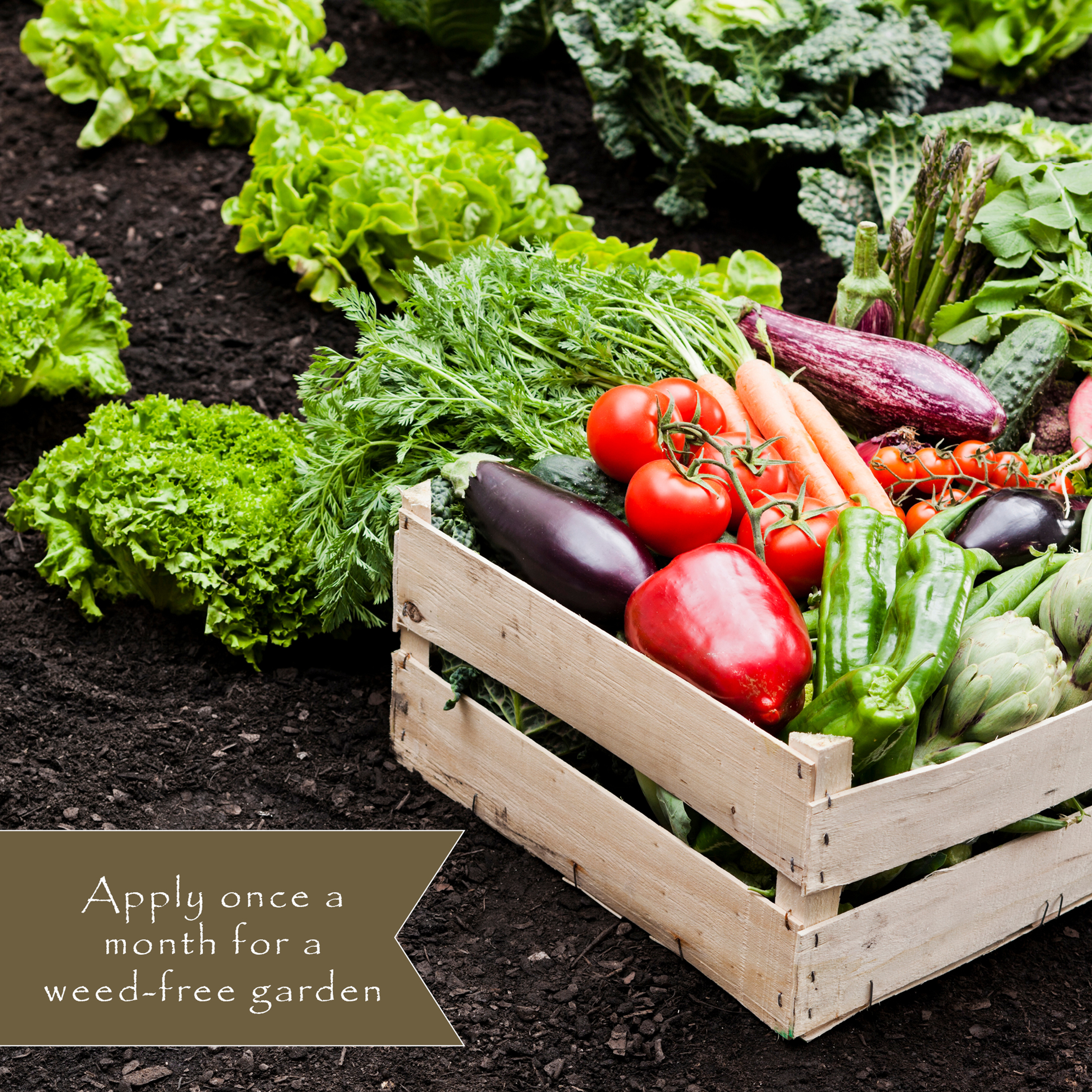 Apply Preen Natural Vegetable Garden Weed Preventer once a month for a weed-free garden