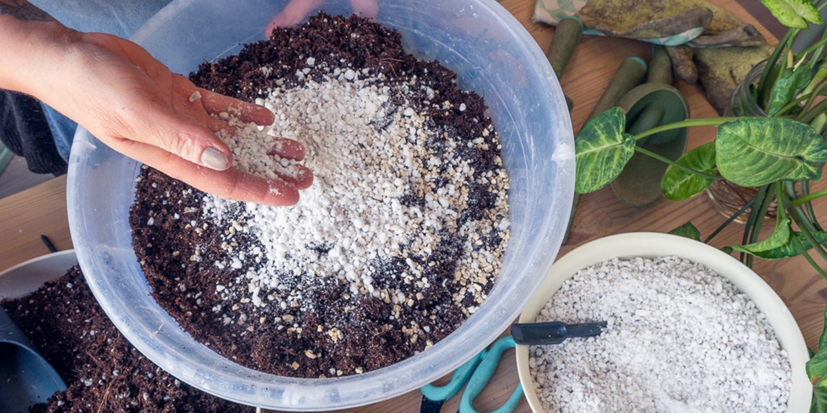 How to Make Your Own Potting Mix