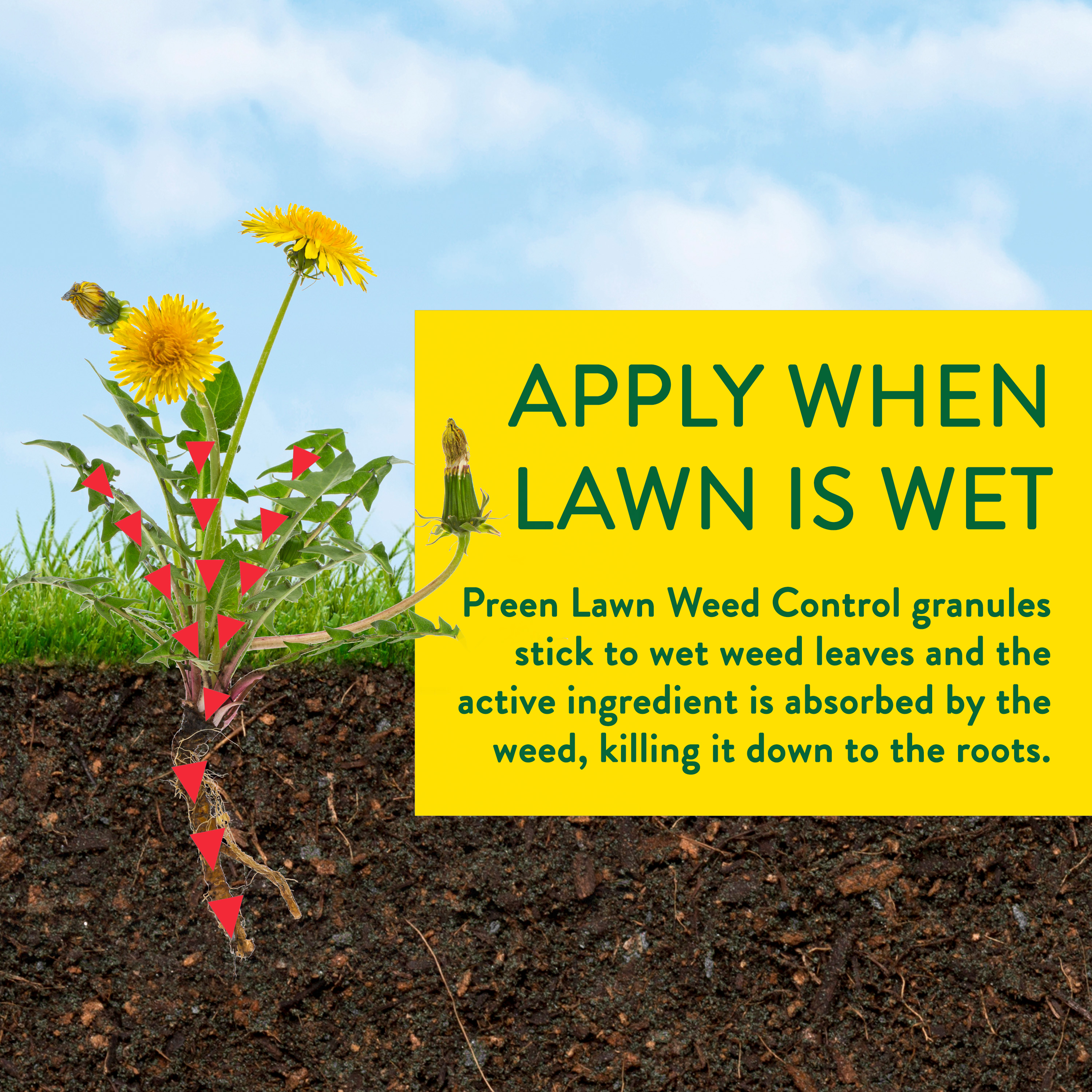Apply Preen Lawn Weed Control when the lawn is wet