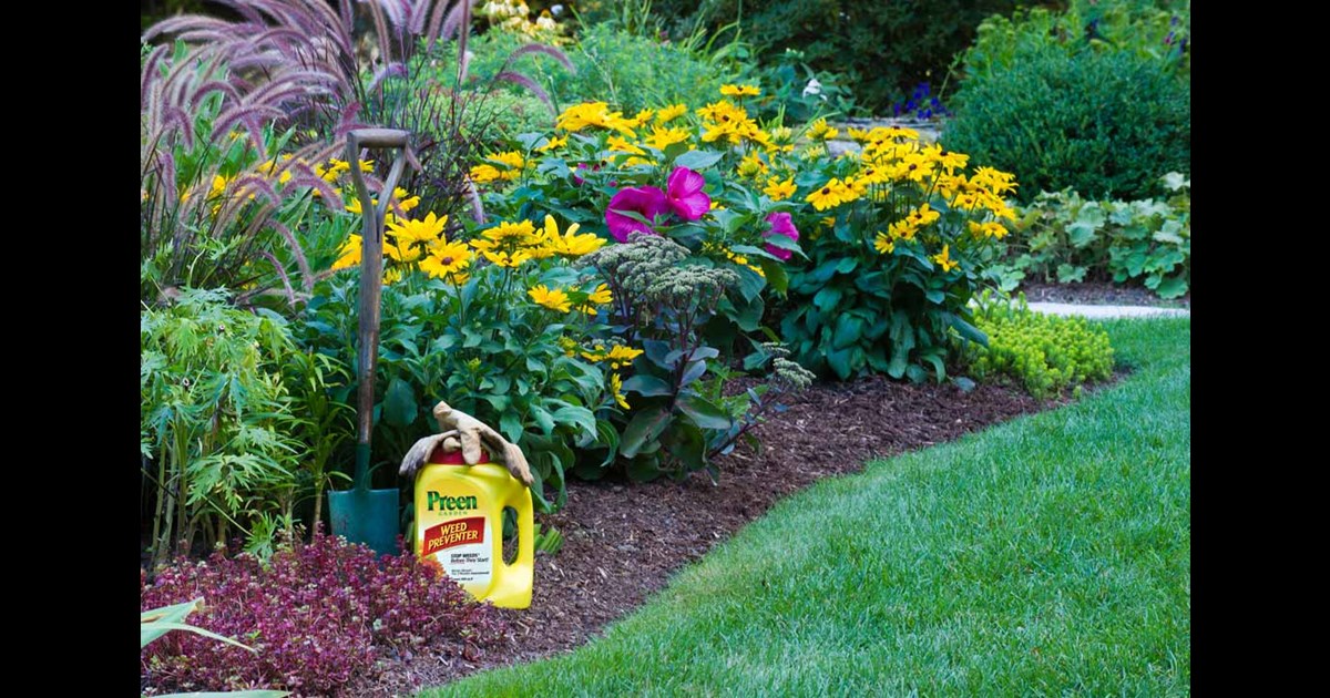 Apply Preen in Fall to Reduce Spring Weeds