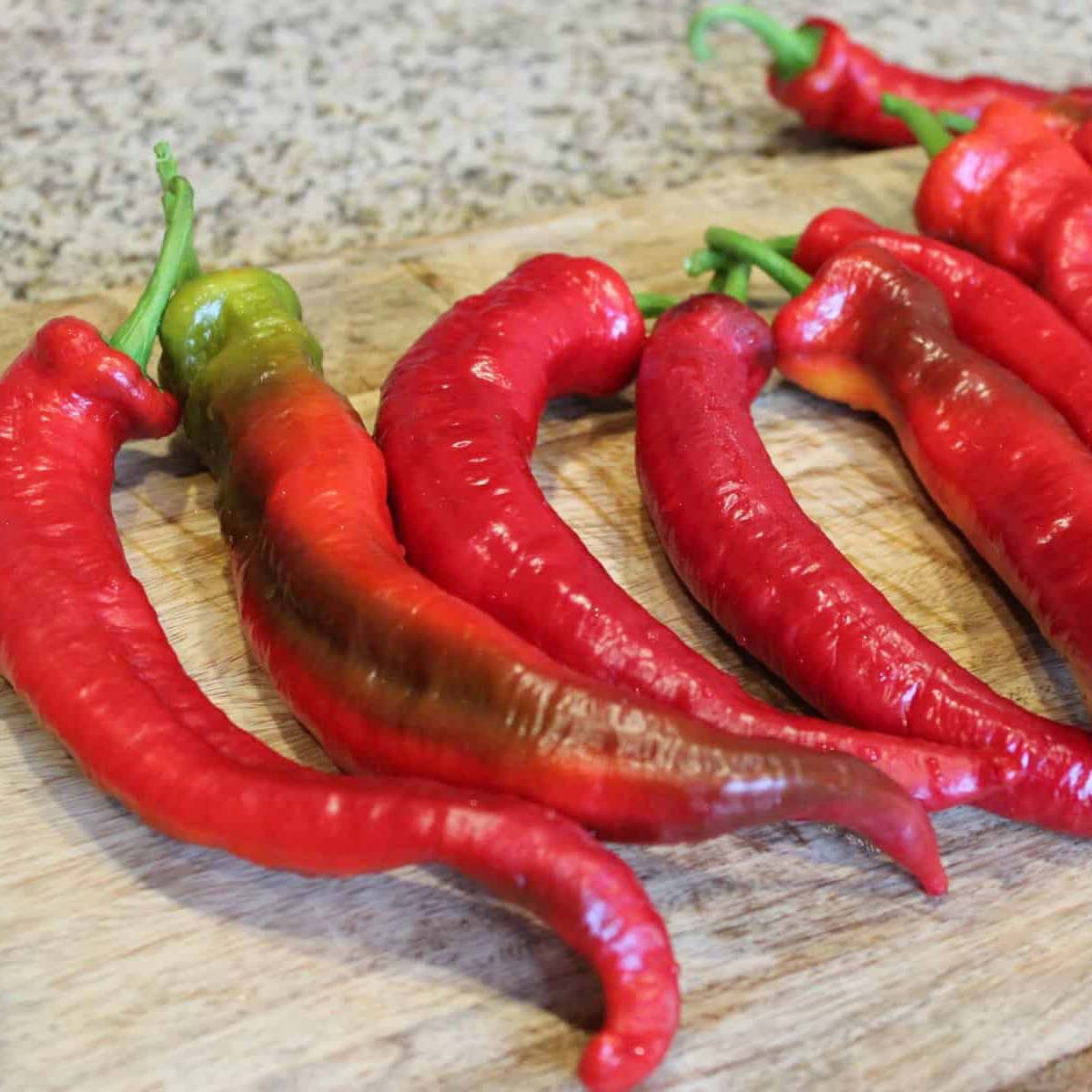 Cayenne pepper Wildcat