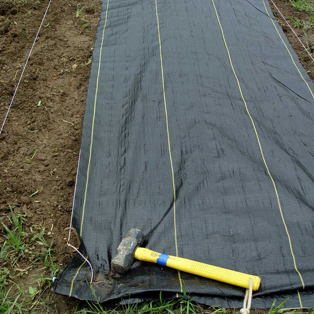 Light-proof fabric can suffocate weeds