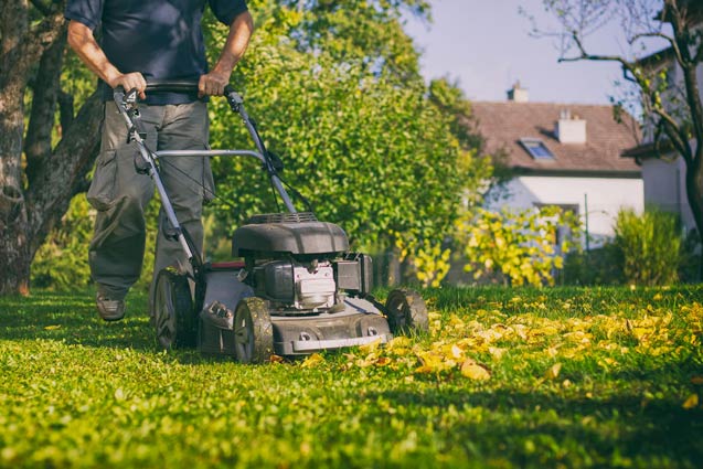 Mowing leaves