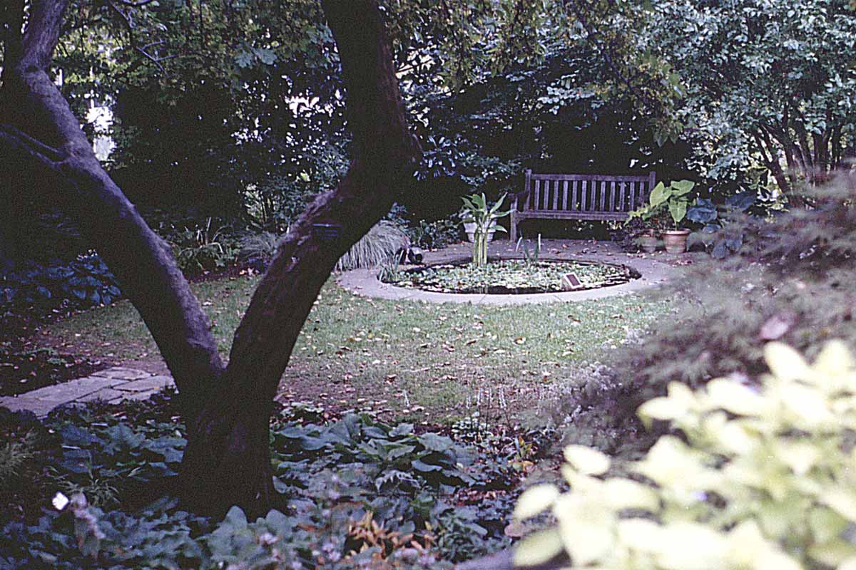 Twilight garden