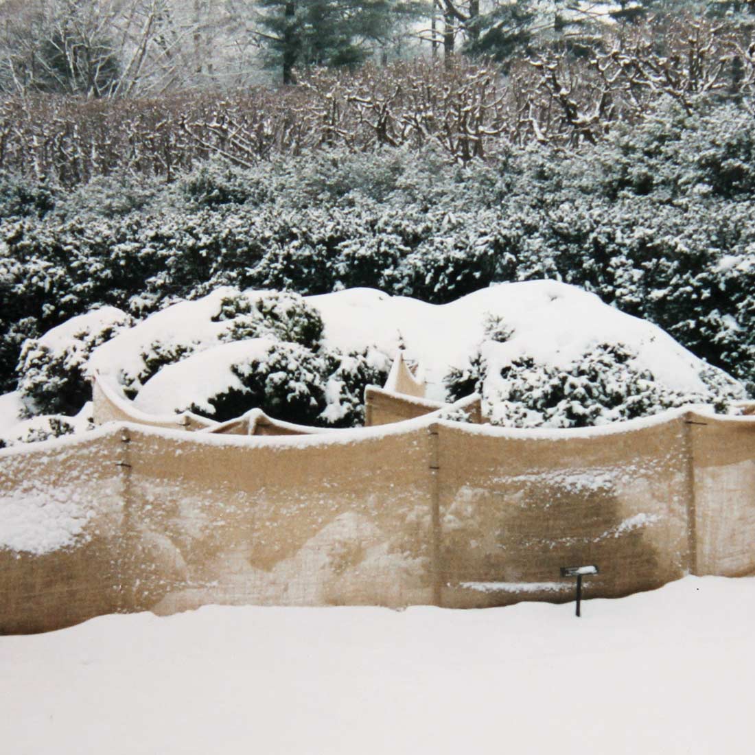 Burlap wind barrier