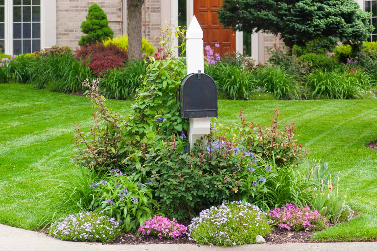 Mailbox garden