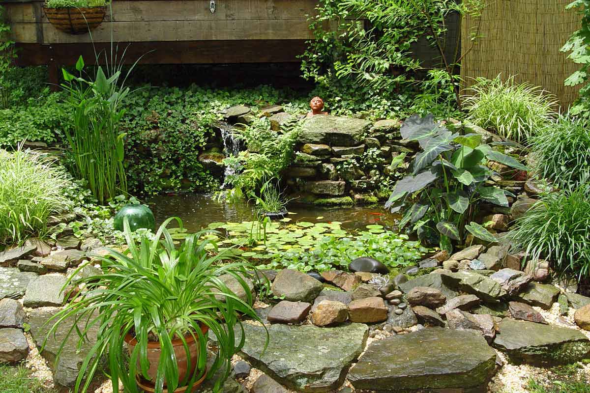 Patio water garden