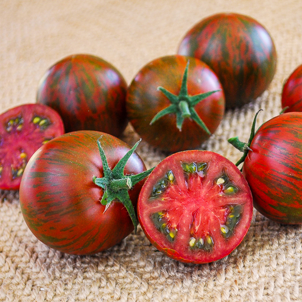 Tomato Purple Zebra