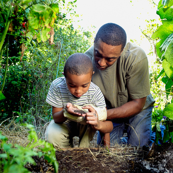 Dad and son gardening