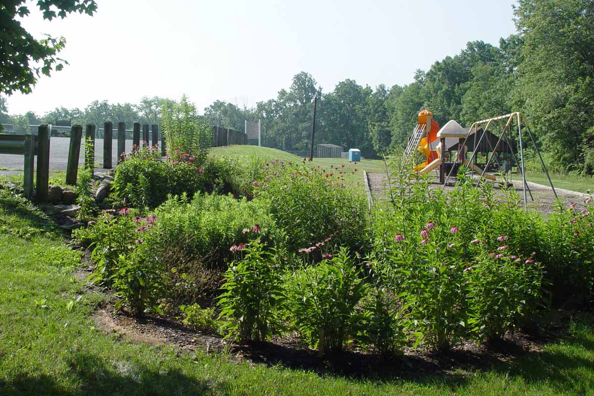 Planted rain garden to collect water.