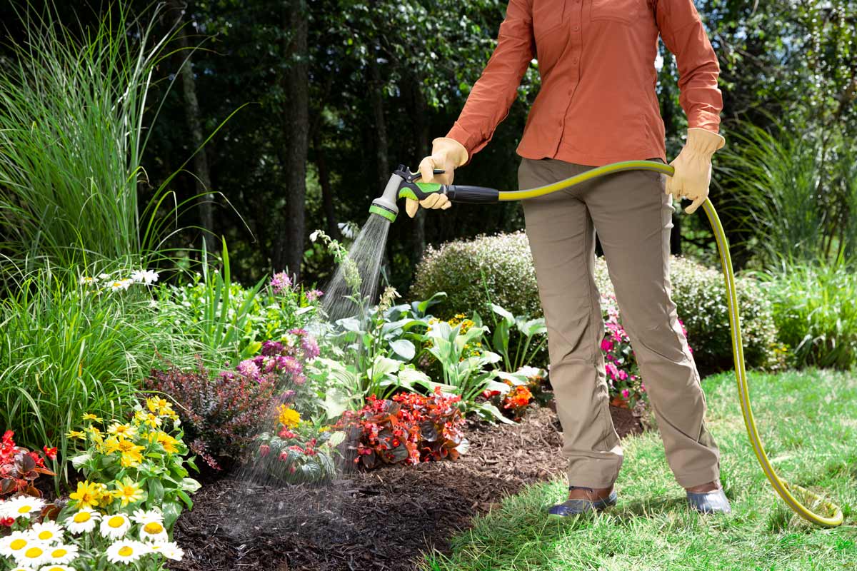 Watering in Preen applied over mulch